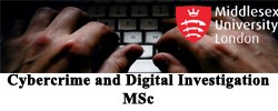 Cybercrime and Digital Investigation MSc