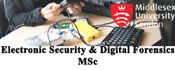 Electronic Security and Digital Forensics MSc