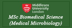 Biomedical Science 